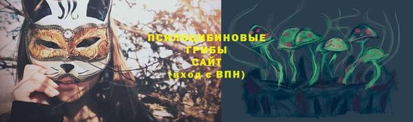 эйфоретик Абинск