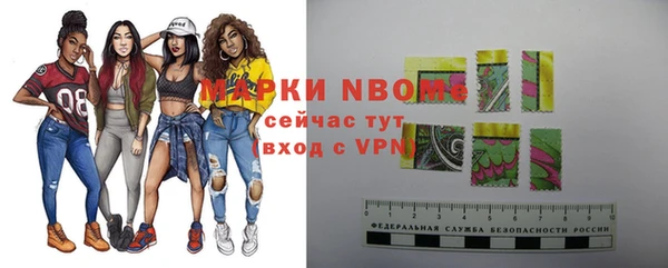 стаф Алзамай