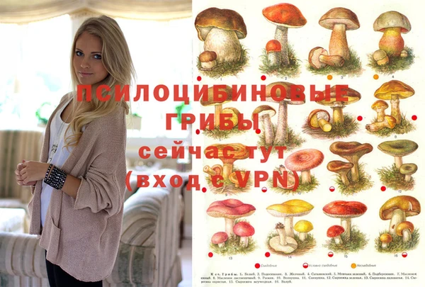 мефедрон Абаза